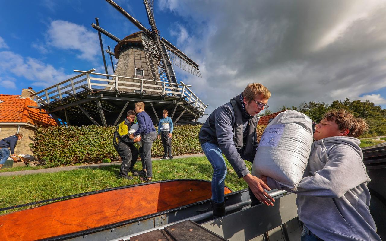 Leerlingen van de Maritieme Academie Harlingen lossen zakken rogge bij korenmolen De Onderneming in Witmarsum. Het rogge is vanuit Zeeuws-Vlaanderen klimaatneutraal vervoerd naar Fryslân. Leerlingen van de Maritieme Academie Harlingen lossen zakken rogge bij korenmolen De Onderneming in Witmarsum. Het rogge is vanuit Zeeuws-Vlaanderen klimaatneutraal vervoerd naar Fryslân.