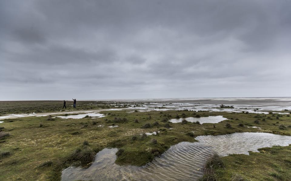 De Waddenzee in de omgeving van Schiermonnikoog. 