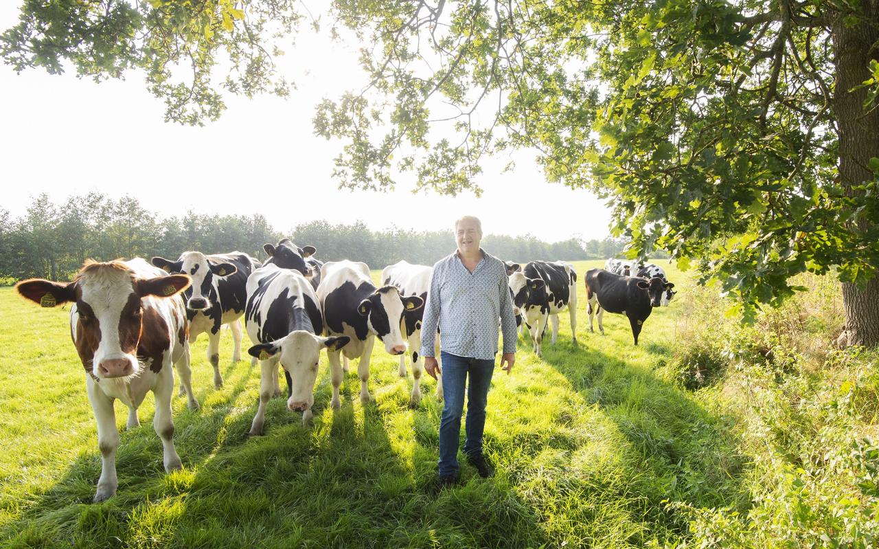 Veehouder Berend van der Wal die tussen Twijzel en Kootstertille met veel liefde voor de natuur boert. Veehouder Berend van der Wal die tussen Twijzel en Kootstertille met veel liefde voor de natuur boert.