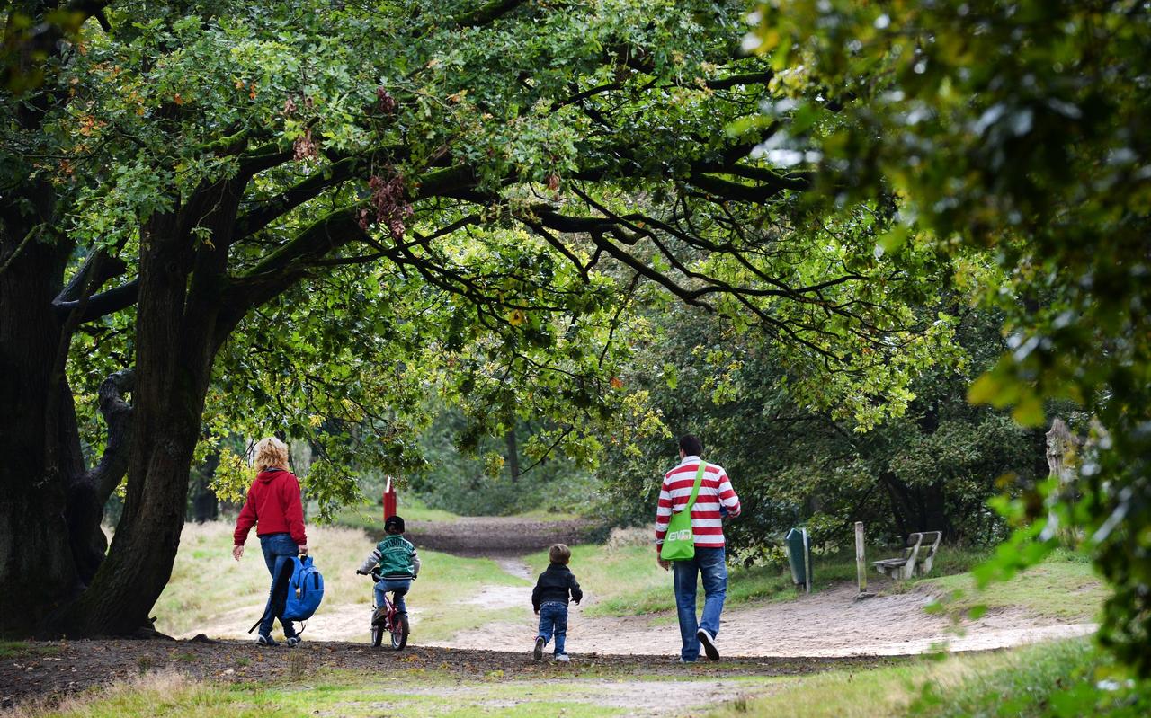 Een wandeling in recreatiegebied De IJzeren Man. Een wandeling in recreatiegebied De IJzeren Man.