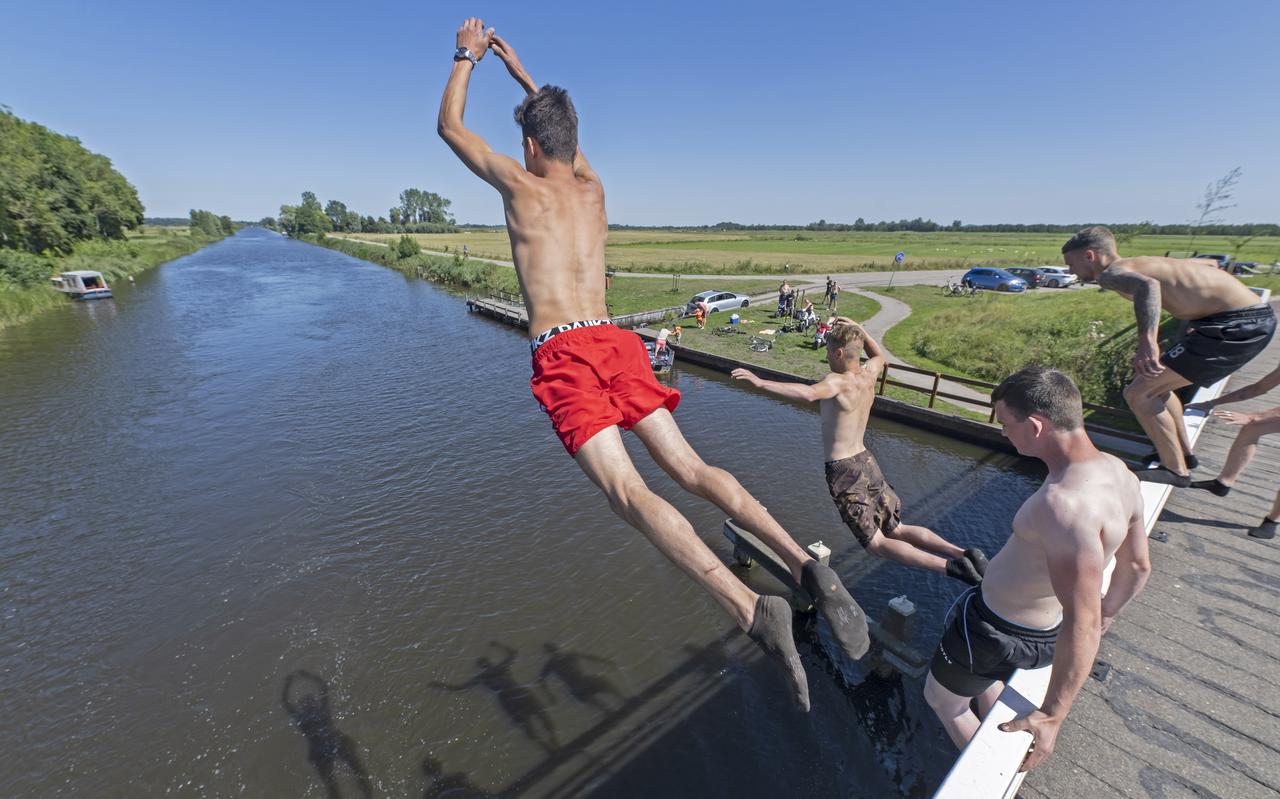 Jongeren duiken van de brug over De Petsleat bij de Miedloane in De Westereen, augustus 2022. In de nieuwe provinciale Nautische Verordening is brugspringen officieel verboden. 