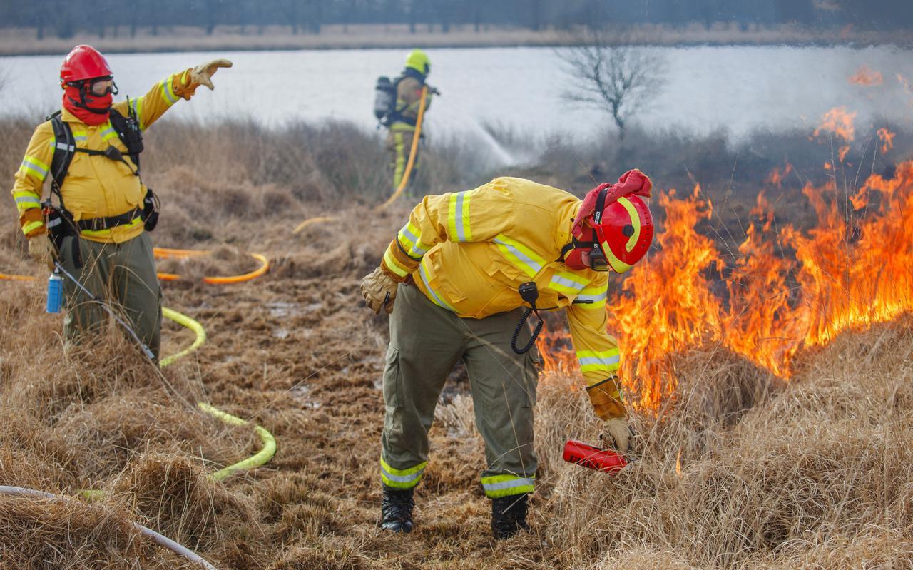 De broers Remko (links) en Mathijs Schuijn van Wolf Wildfire Safety, een bedrijf dat gespecialiseerd is in natuurbrandbeheersing, steken een afgebakend stuk heide op de Duurswouderheide in brand.