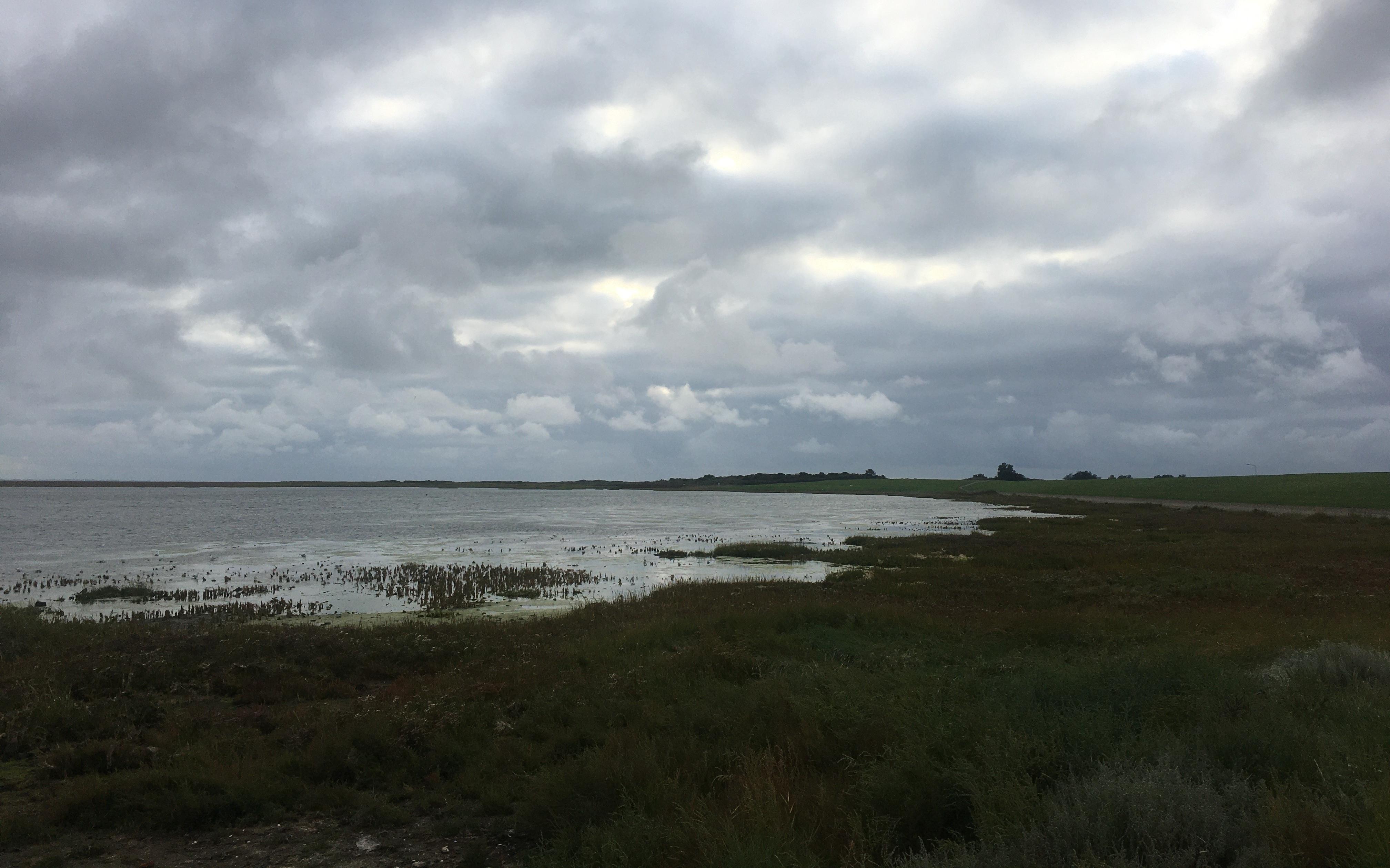 Bewoners Wierum bieden petitie aan bij Wetterskip Fryslân om het afkalven van kweldergebied te voork