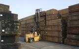 Opslag voor FSC-hout.  