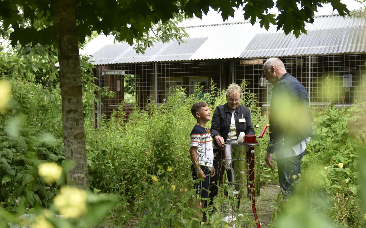 Tom Gielen kijkt naar Martine Kamphorst en Marten Pietersma die een demonstratie honingslingeren geven. 