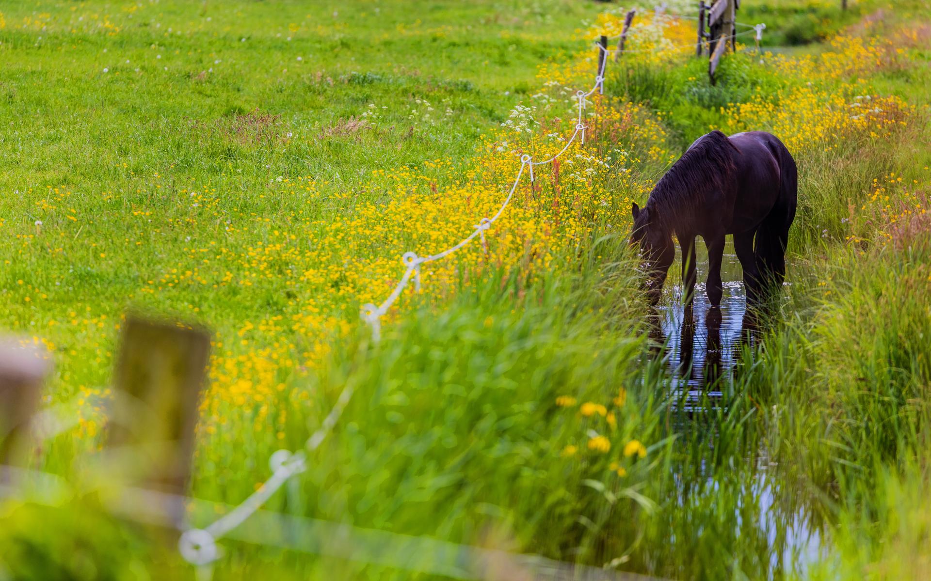 Natuurclubs laken schrappen NPLG