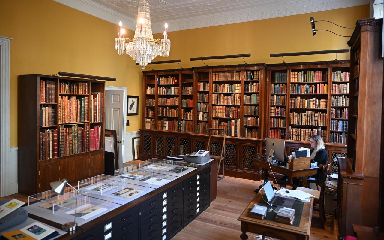 Een antiquariaat. Een antiquariaat.