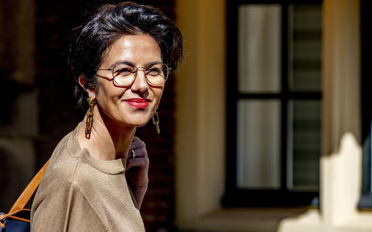 Gunay Uslu, staatssecretaris Cultuur en Media. Gunay Uslu, staatssecretaris Cultuur en Media.