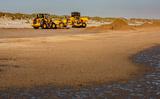 Op het badstrand van Nes worden massa's mosdiertjes opgeruimd. 