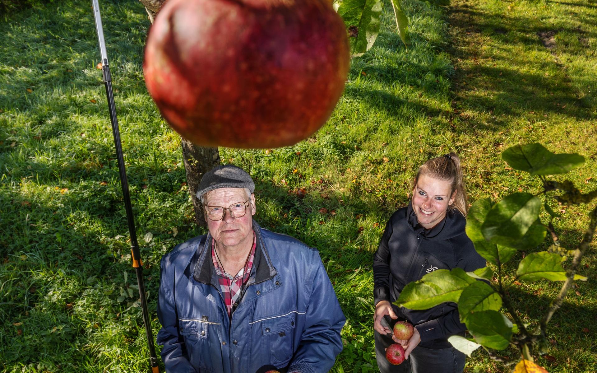 De Fruithof in Frederiksoord, levend museum van appels en peren, gooit de deuren open