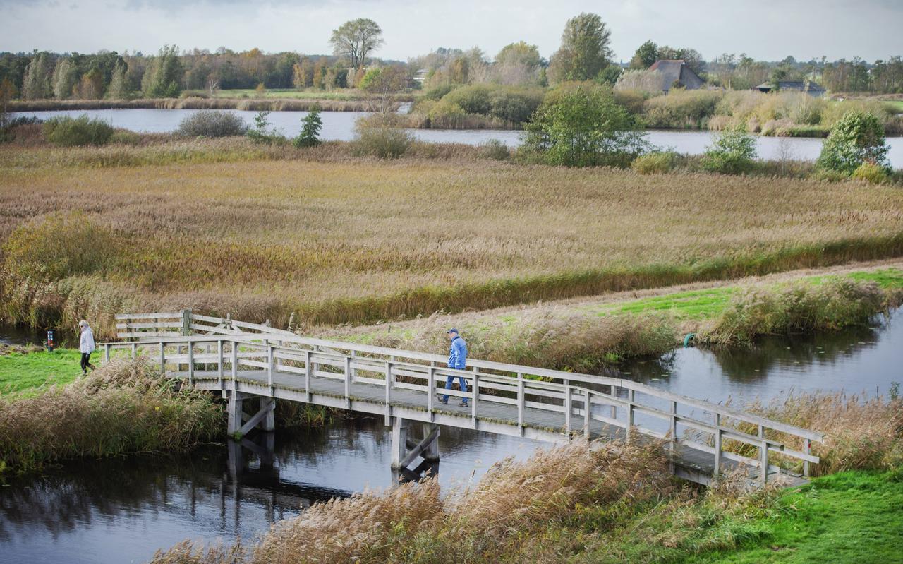 Natura 2000-gebied De Alde Feanen bij Earnewâld, onderdeel van Natuurnetwerk Nederland. 