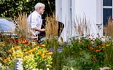 RIVM-directeur en OMT-lid Jaap van Dissel komt aan voor het Catshuisberaad over de coronamaatregelen.