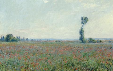 Claude Monet, Champ de coquelicots (Papaverveld), 1881, Olieverf op doek, Collectie Museum Boijmans Van Beuningen, Rotterdam | verworven met de verzameling van D.G. van Beuningen, 1958. 