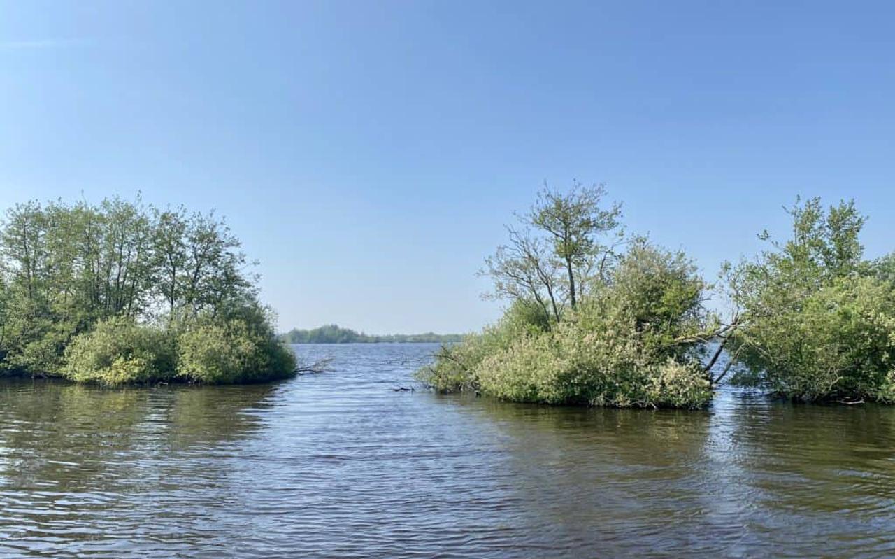 De Hegewarren wordt een waterrijk gebied, wat Wetterskip Fryslân, de gemeente Smallingerland en Gedeputeerde Staten betreft. Provinciale Staten stellen een besluit nog uit.