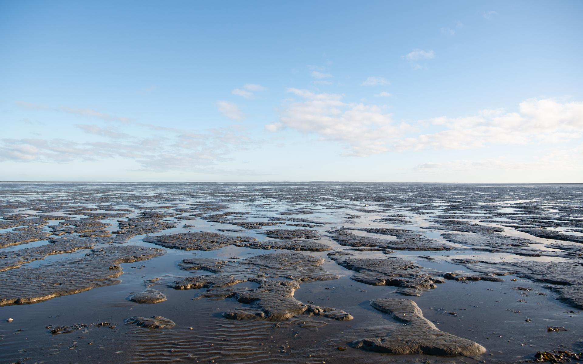 Nederland legt UNESCO uit waarom de gaswinning bij Ternaard wel door kan gaan. De Waddenvereniging e