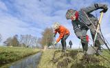 Janneke de Haan (rode jas) en Grytsje Veltman planten boompjes bij boer Tom de Jong in De Westereen. 