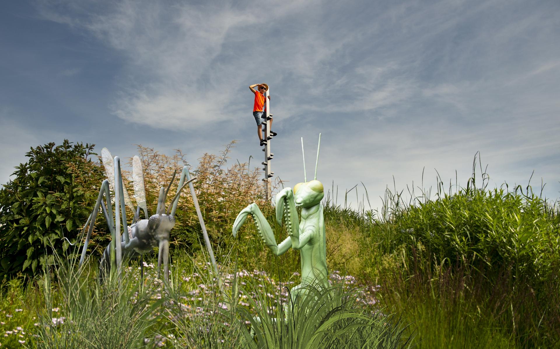 Het Giga Insectaproject afgelopen zomer in Park Vijversburg in Tytsjerk is een van de projecten die medegefinancierd werden door het Leader-fonds.
