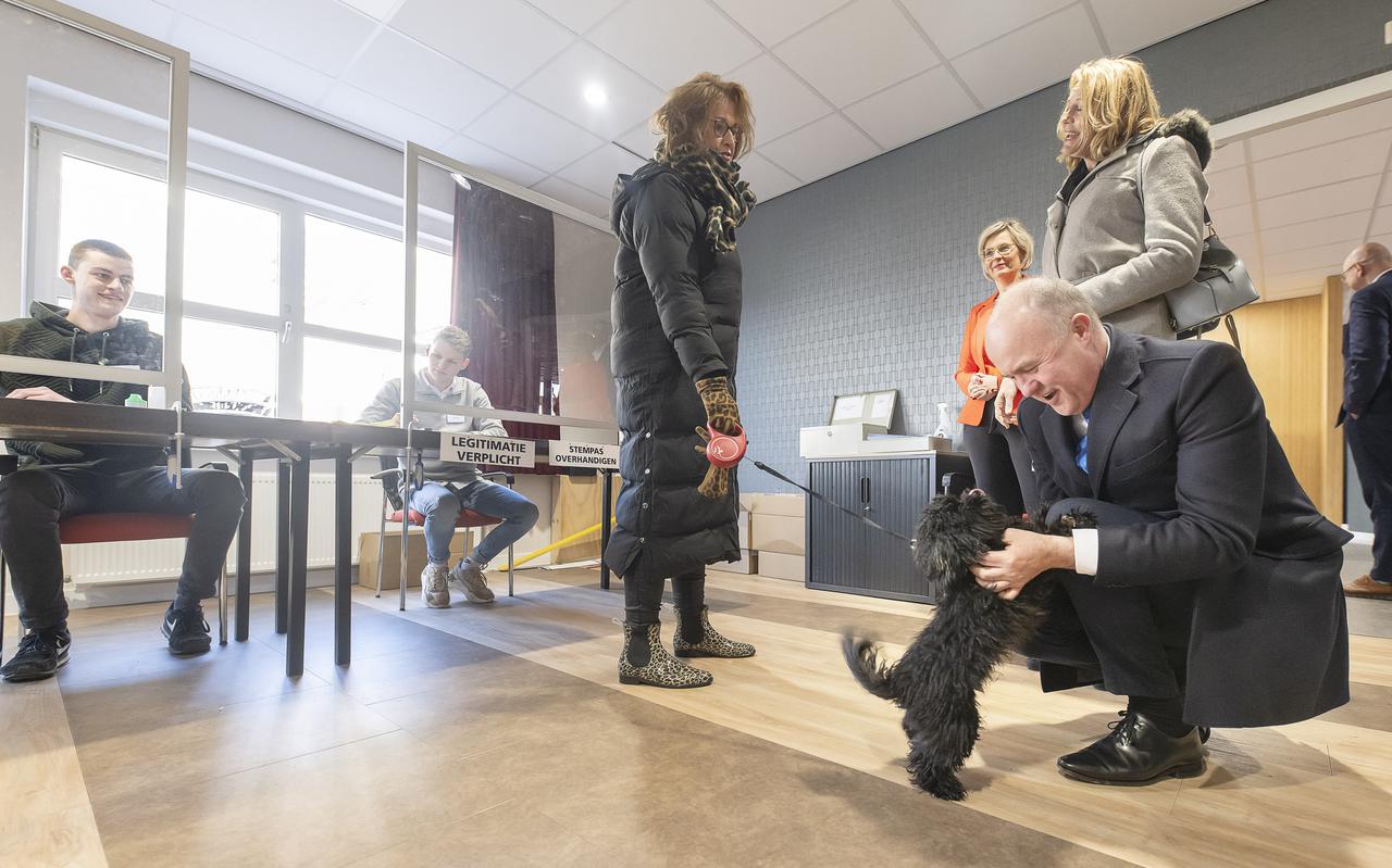 Commissaris van de koning Arno Brok komt in het stembureau De Waadwente in Dokkum hondje Gurbe tegen en heeft even alleen oog voor hem.
