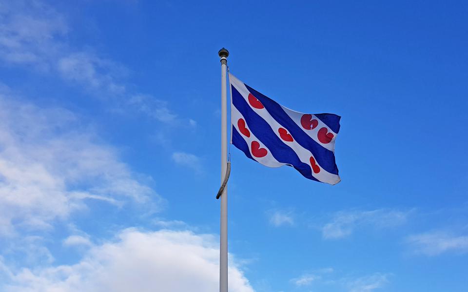 De Friese vlag.
