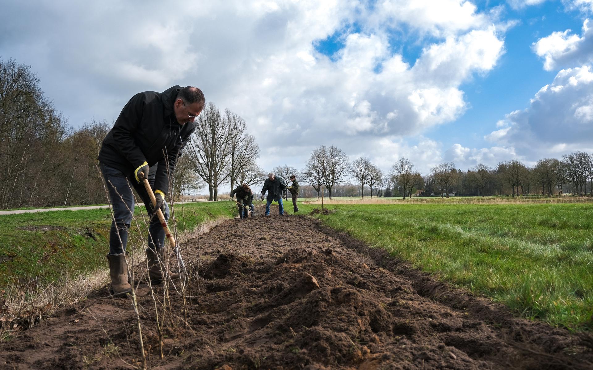Medewerkers van Staatsbosbeheer, Buitenfonds en Werk Slim, Reis Slim planten drieduizend meidoorns in Beekdal De Lende bij Oldeberkoop. 