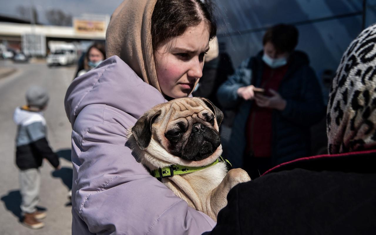 Een Oekraïense vluchteling met haar hond aan de Grieks-Bulgaarse grens, 11 maart 2022. 