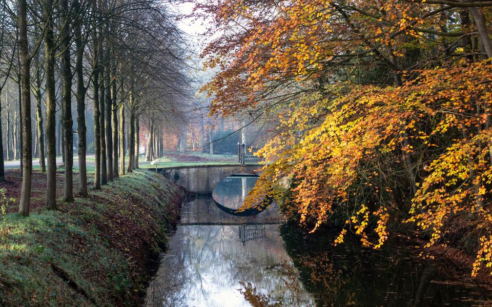 De bossen van Oranjewoud. 