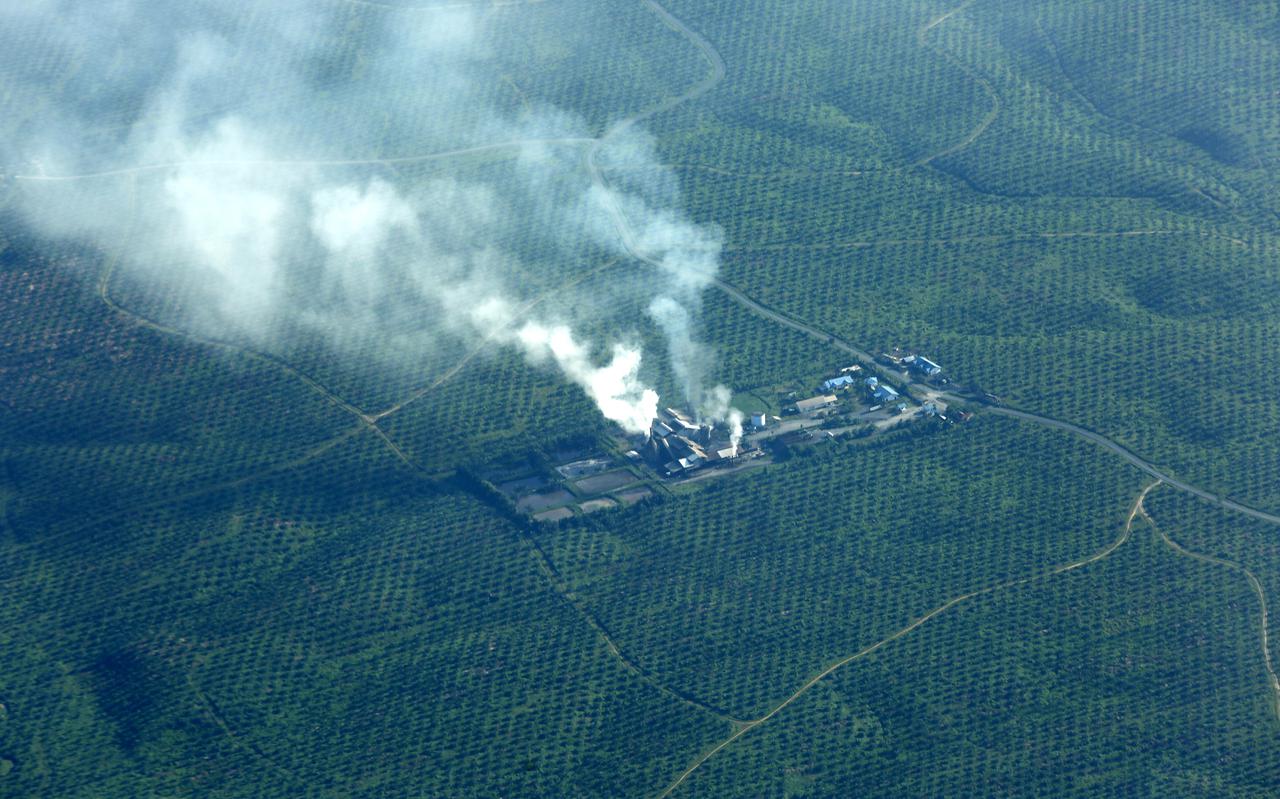 Een palmoliefabriek aan de rand van Lauser National Park in Aceh, Indonesië.