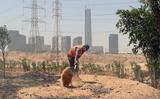 Werkzaamheden aan de Nieuwe Administratieve Hoofdstad (NAC) van Egypte, een groot bouwproject op een locatie tussen Caïro en Suez. 