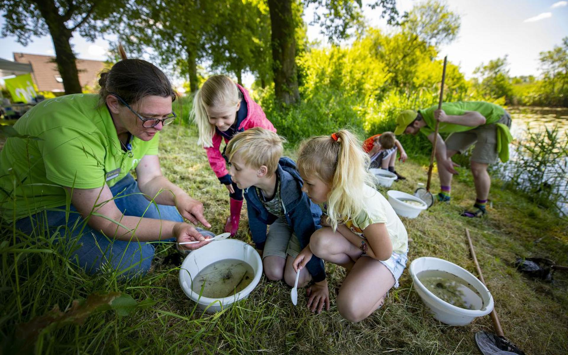 Natuurclubs ageren tegen bezuinigingen van de provincie Fryslân: 'Dit is niet zo slim' - Friesch Dag