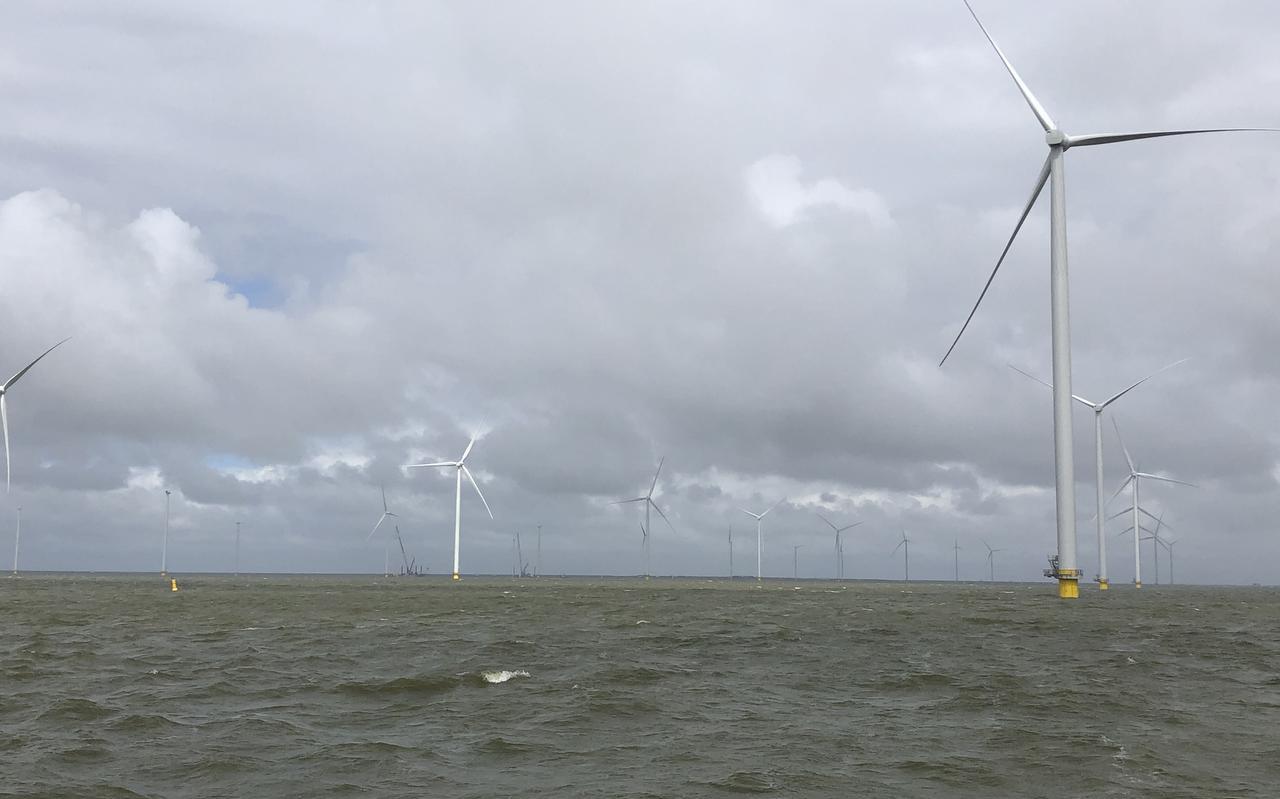 Windpark Fryslân in aanbouw, als er 27 van de 89 windturbines zijn opgebouwd. Windpark Fryslân in aanbouw, als er 27 van de 89 windturbines zijn opgebouwd.