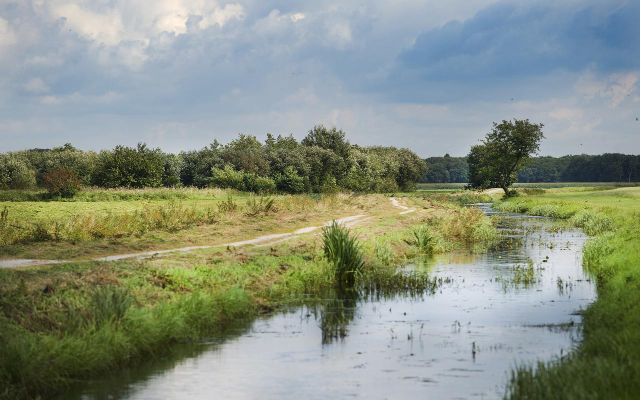 De kronkeling van de Lende in het grasland ten zuidoosten van Oldeberkoop. 