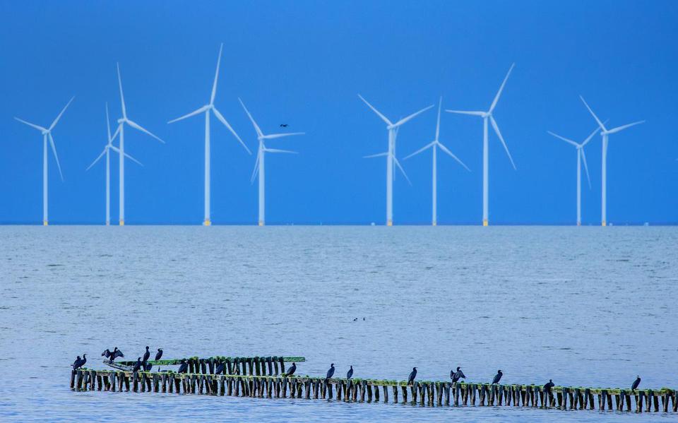 Windpark Fryslân gezien vanuit Stavoren.