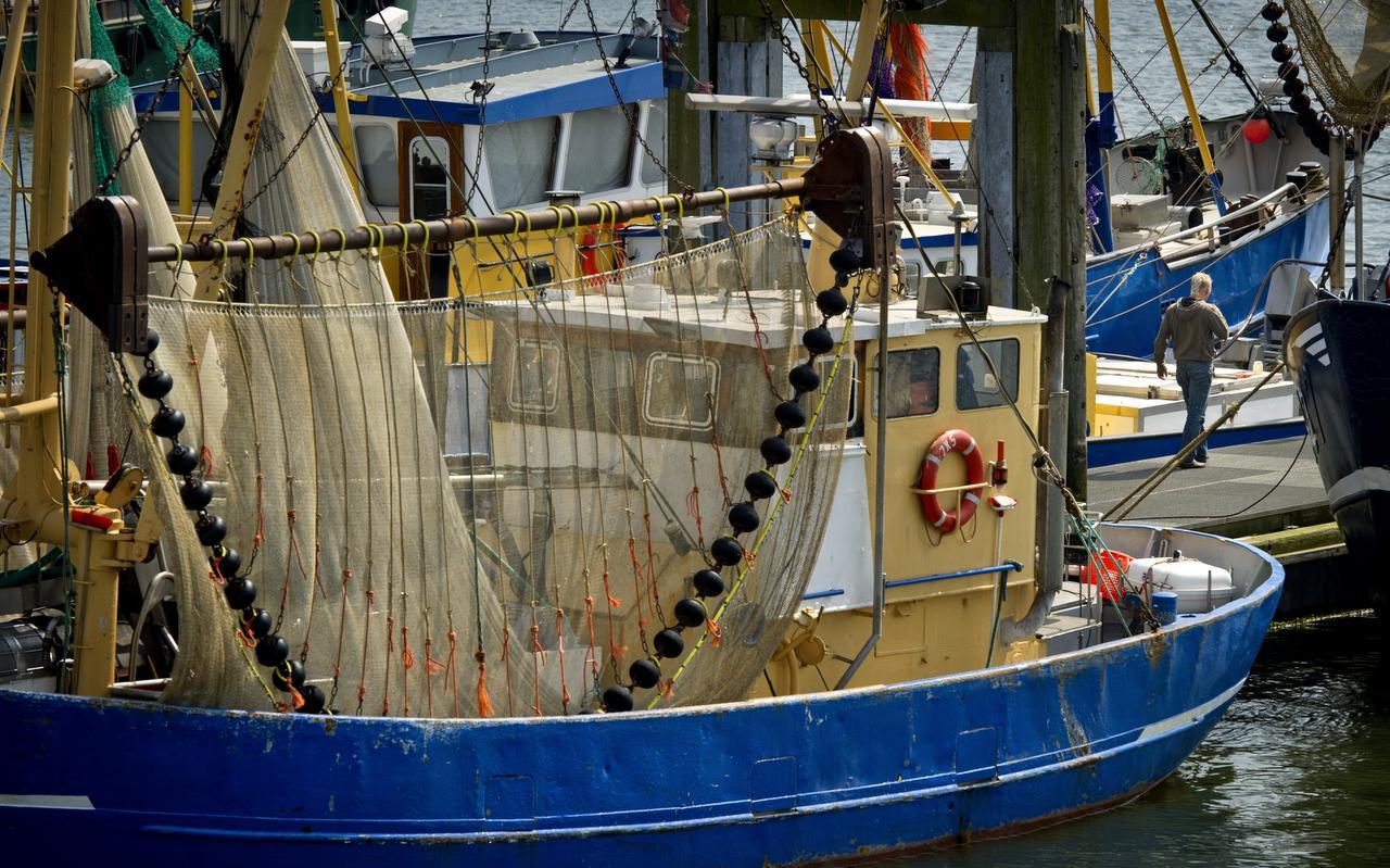 Garnalenkotters in de haven van Lauwersoog. Garnalenkotters in de haven van Lauwersoog.