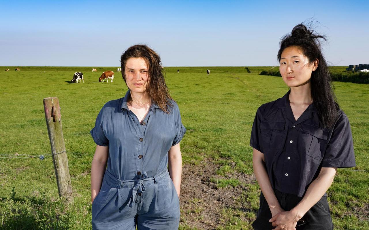 Sien Vanmaele (l) en Amber Docters van Leeuwen werken bij Oerol Lab op Terschelling aan hun creaties als respectievelijk kokend theatermaker en celliste-verteller. Sien Vanmaele (l) en Amber Docters van Leeuwen werken bij Oerol Lab op Terschelling aan hun creaties als respectievelijk kokend theatermaker en celliste-verteller.