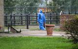 Medewerkers van de Nederlandse Voedsel- en Warenautoriteit (NVWa) ruimen een pluimveebedrijf in Zeewolde, waar vorige week vogelgriep werd vastgesteld.