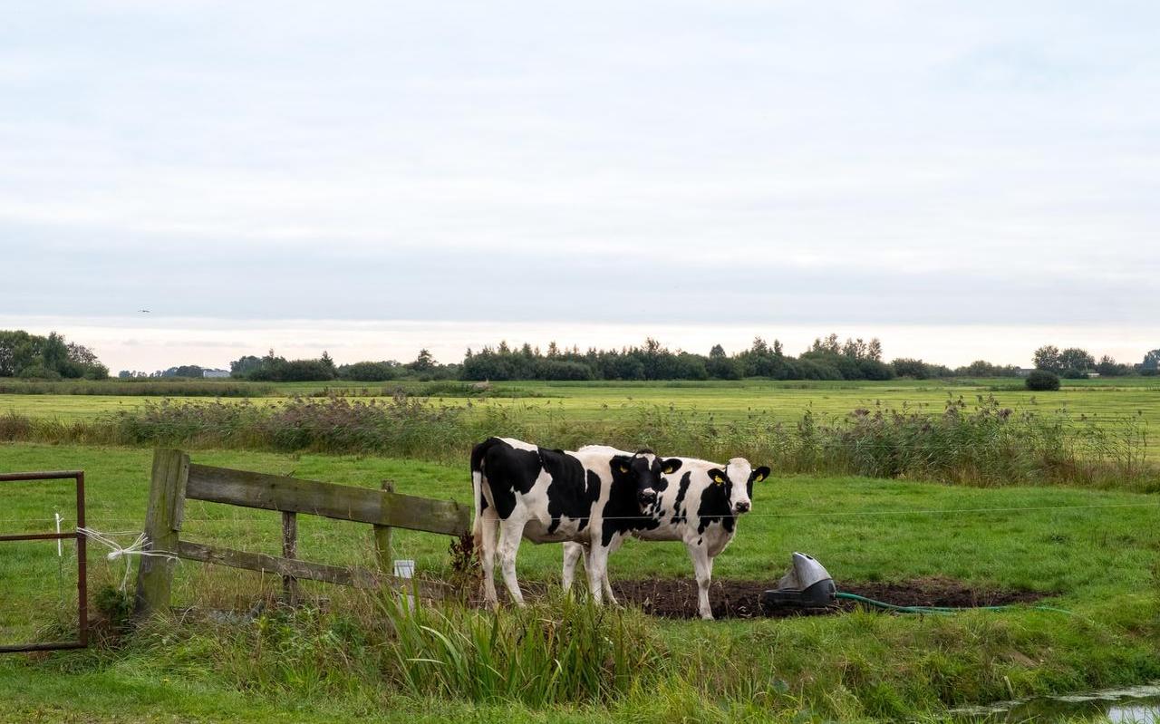 Veehouderij in de Hegewarren zal in de toekomst anders moeten Veehouderij in de Hegewarren zal in de toekomst anders moeten