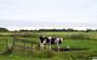 Veehouderij in de Hegewarren zal in de toekomst anders moeten