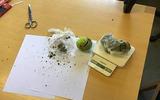 Drugs in een tennisbal, die in coronatijd over de muren van de Leeuwarder gevangenis is gegooid