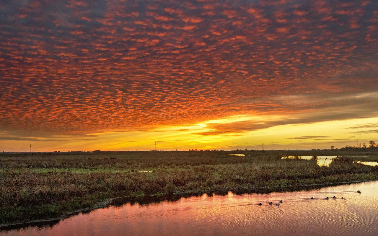  De opkomende zon werpt een rood licht op het wolkendek boven de Falomster Leyen, met op de achtergrond de Houtwiel. Beide natuurgebieden nabij de Sintrale As bij De Falom zijn onderdeel van de Ecologische Hoofdstructuur tussen Lauwersoog en de Grutte Wielen bij Leeuwarden.