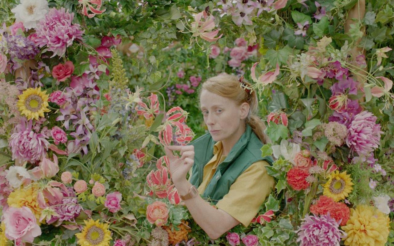 Filmstill van 'Botanica' (2017) van Noël Loozen, een van de korte films op het Huiskamerfilmfestival. Filmstill van 'Botanica' (2017) van Noël Loozen, een van de korte films op het Huiskamerfilmfestival.