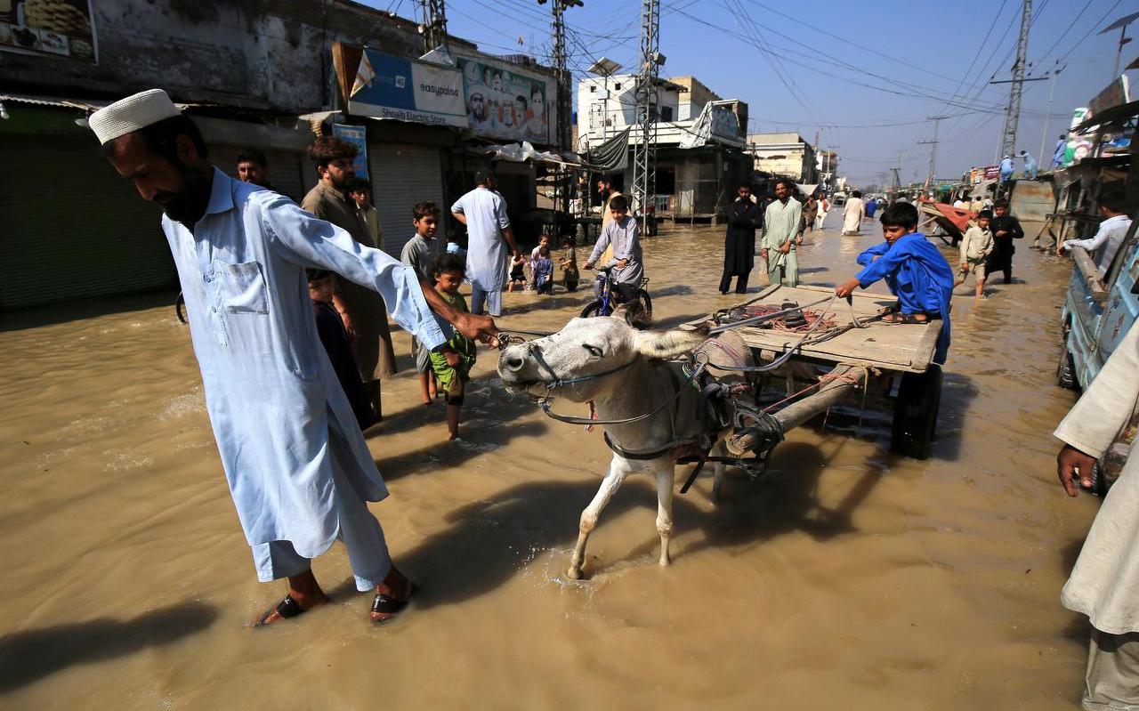 Nieuwe regenval in Pakistan: weer doden en ziektes - Friesch Dagblad